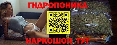 скорость Аргун