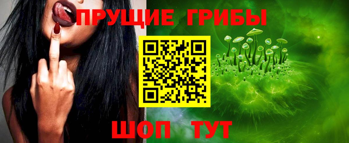 купить наркотик  Вход с VPN  Асино  Псилоцибиновые грибы MAGIC MUSHROOMS  Псилоцибиновые грибы GOLDEN TEACHER 