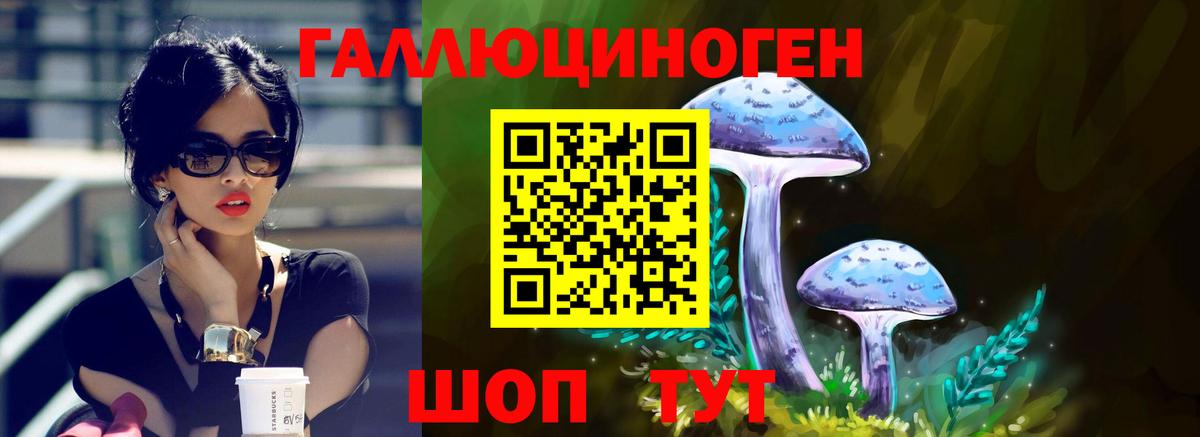 Галлюциногенные грибы ЛСД Асино